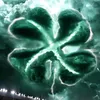 nico_lamine2