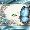 user6313772928861
