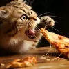 gatoscomem.pizza