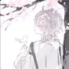 zen_33x