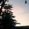 userr__16578