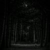 merna.medhat2322