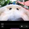 daniel.carvajal104
