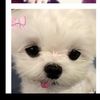 zoe_m559