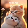 huai39