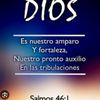el.chinito.66