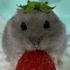 _hqcxxz4