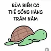 ruathichdanhcau13