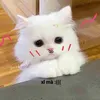 nhu.sua_2k7no
