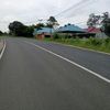 kembang1334