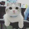 fitry.firdiya