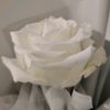 insah80