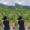 ha_vy_day2