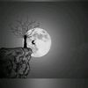 user32531261281815