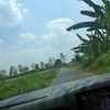 pembajak.sawah0