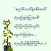 hsuphyolwin3030