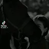 bjbnjbj0