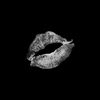 kamasheva.h