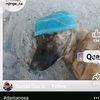 raphaelfrankson100gmail
