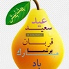 mohammad.subhan.y5