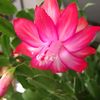 mehrbanoo.moghada