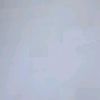 yanz_0610