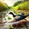 unggas_borneo