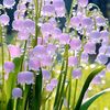 flower_auri08