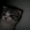 kaizoo_143