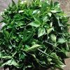 kedir03150828