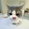 miaww2223