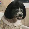 scooby.ruby2
