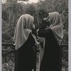 dilaww14