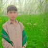 salman.khan.156