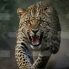 instinkattak