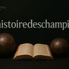 histoiredeschampi4