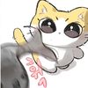 nway_hnin4