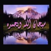 enayatyoussef