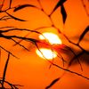 turki_4623