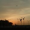 lla_dxb