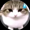 aarbggkkhj