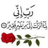 user39005117820465