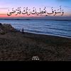 noor.alkateb1