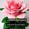 user8621317778001