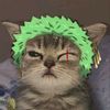zoro7532