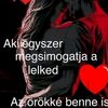 sebiseban12