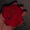 robynanderson260