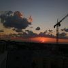 hadar_425
