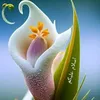 user126662188