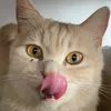 craftykimtr_